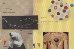 collages_wisseling-van-de-wacht2
